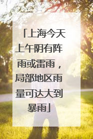 上海今天上午阴有阵雨或雷雨，局部地区雨量可达大到暴雨